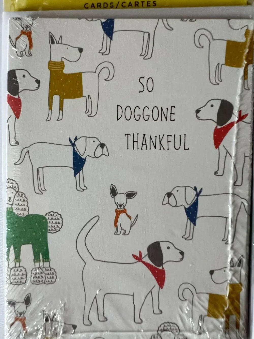 NEW Hallmark Expressions Cute Dogs Doggone Thankful Thank You Cards & Envelopes